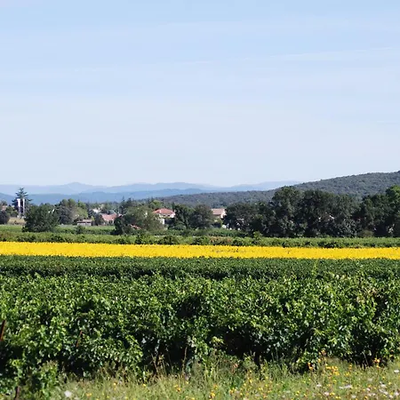 Moulin Du Meunier - 18th Century Magnificently Restored Mill Orthoux-Serignac-Quilhan